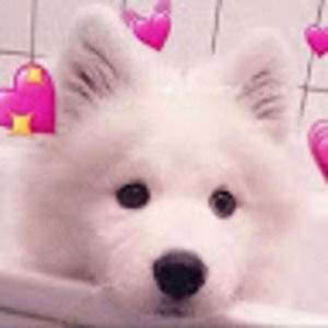 Meet your Posher, Vrinda